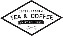 ITC Academy Logo